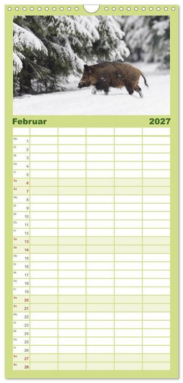 Produktbild: Familienplaner 2027 - Wildschweine &ndash; Wildlife Fotografien mit 5 Spalten (Wandkalender, 21 x 45 cm) CALVENDO