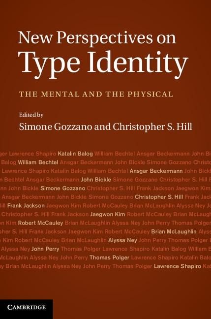 Produktbild: New Perspectives on Type Identity