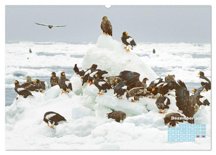 Produktbild: Japan: Entdecken Sie gelebte Tradition und einzigartige Naturwunder (hochwertiger Premium Wandkalender 2027 DIN A2 quer), Kunstdruck in Hochglanz
