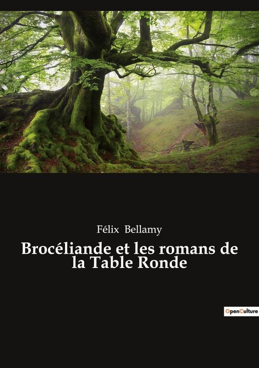 Produktbild: Broc&eacute;liande et les romans de la Table Ronde