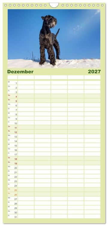 Produktbild: Familienplaner 2027 - Mit dem Riesenschnauzer durch das Jahr mit 5 Spalten (Wandkalender, 21 x 45 cm) CALVENDO