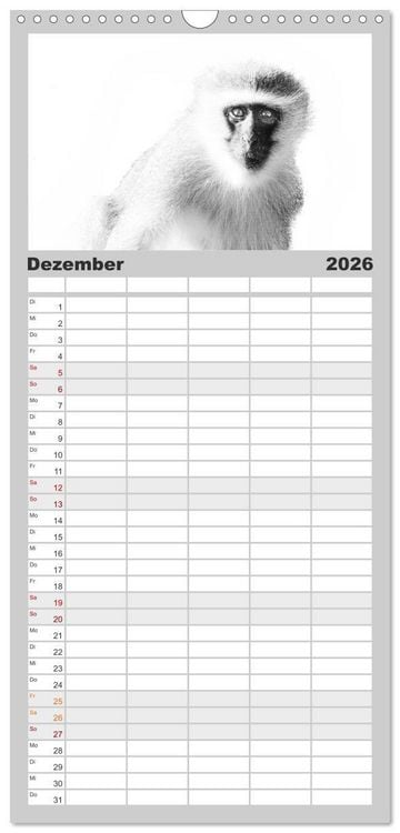 Produktbild: Familienplaner 2026 - AFRIKA - Schwarz-weiss Fotografien im modernen "High Key" Look mit 5 Spalten (Wandkalender, 21 x 45 cm) CALVENDO