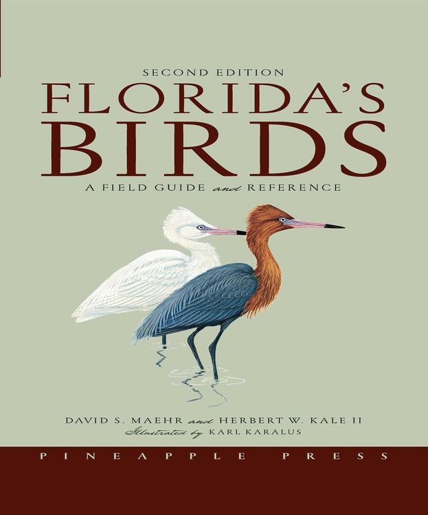 Produktbild: Florida's Birds