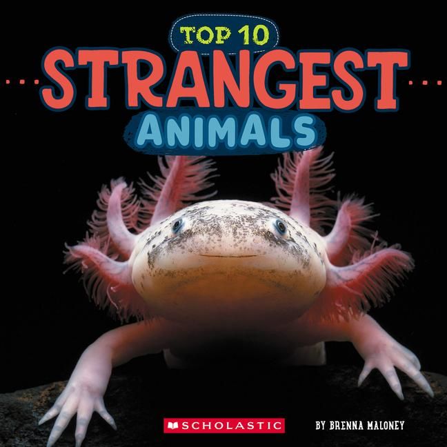 Produktbild: Strangest Animals (Wild World: Top 10)