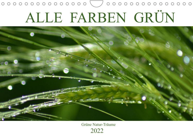 Produktbild: Alle Farben Gr&uuml;n (Wandkalender 2022 DIN A4 quer)