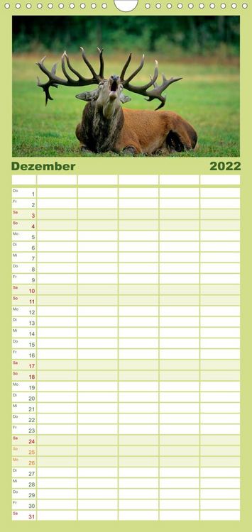 Produktbild: Familienplaner Tiere des Waldes (Wandkalender 2022 , 21 cm x 45 cm, hoch)