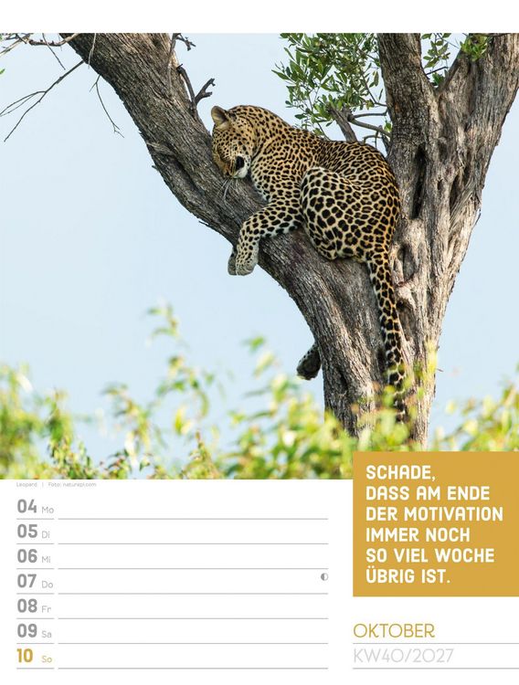 Produktbild: Tierisch Spr&uuml;chekalender Wochenplaner 2027
