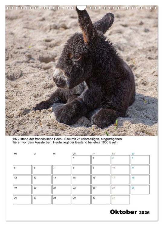 Produktbild: Liebenswerte Landtiere (Wandkalender 2026 DIN A3 hoch), CALVENDO Monatskalender
