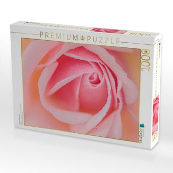 Produktbild: CALVENDO Puzzle Rose im Morgentau | 1000 Teile Lege-Gr&ouml;&szlig;e 64x48cm Foto-Puzzle f&uuml;r gl&uuml;ckliche Stunden