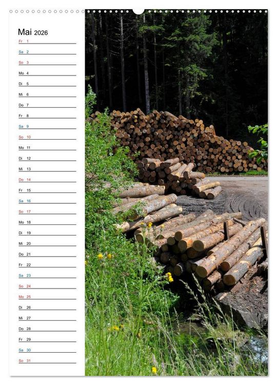 Produktbild: Schwarzwald (Wandkalender 2026 DIN A2 hoch), CALVENDO Monatskalender