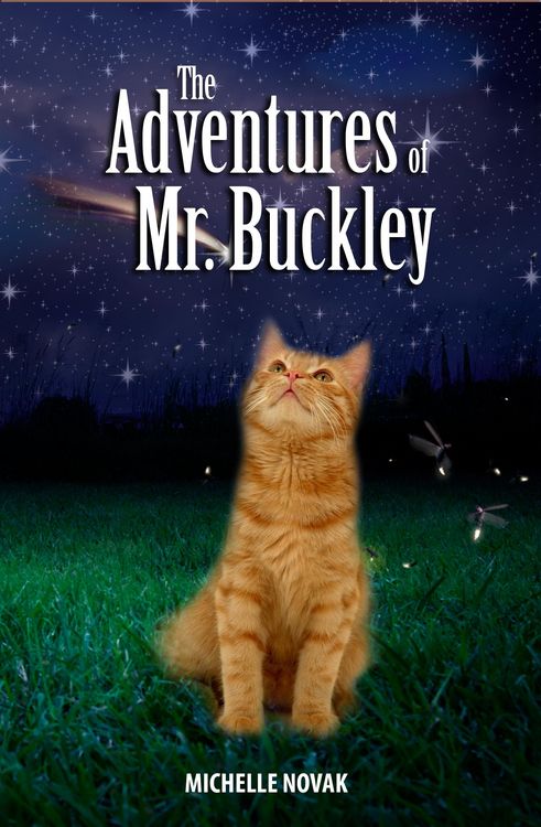Produktbild: Adventures of Mr. Buckley