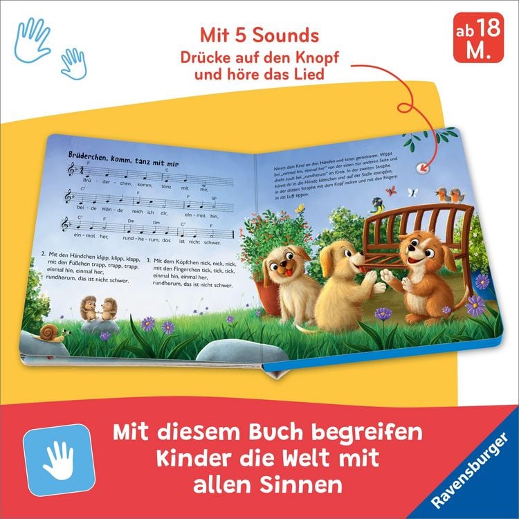 Produktbild: H&ouml;r mal hin - Ich bin der kleine Tanzb&auml;r