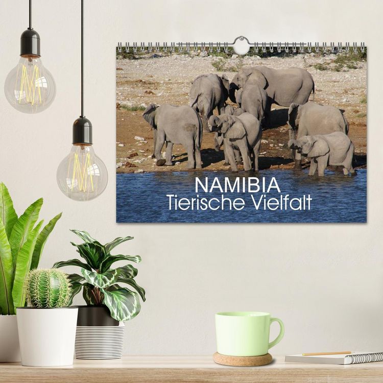 Produktbild: Namibia - Tierische Vielfalt (Wandkalender 2025 DIN A4 quer), CALVENDO Monatskalender
