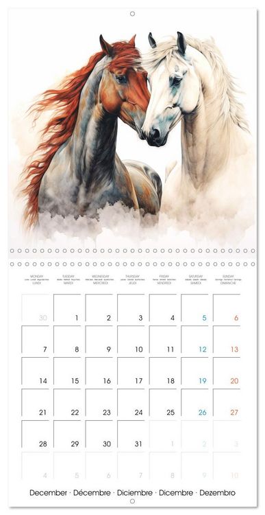 Produktbild: &Eacute;l&eacute;gance &eacute;quine (Calendrier mural carr&eacute; 2026 30x30 cm) Calendrier double avec une page pour vos prises de notes