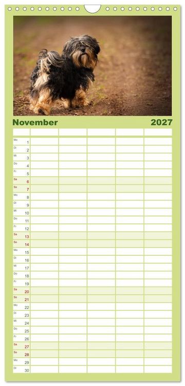 Produktbild: Familienplaner 2027 - Havaneser - Wirbelwinde aus Kuba mit 5 Spalten (Wandkalender, 21 x 45 cm) CALVENDO
