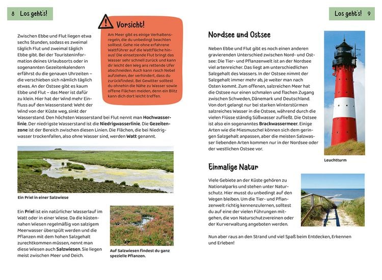 Produktbild: Was lebt an Strand und K&uuml;ste? Kindernaturf&uuml;hrer