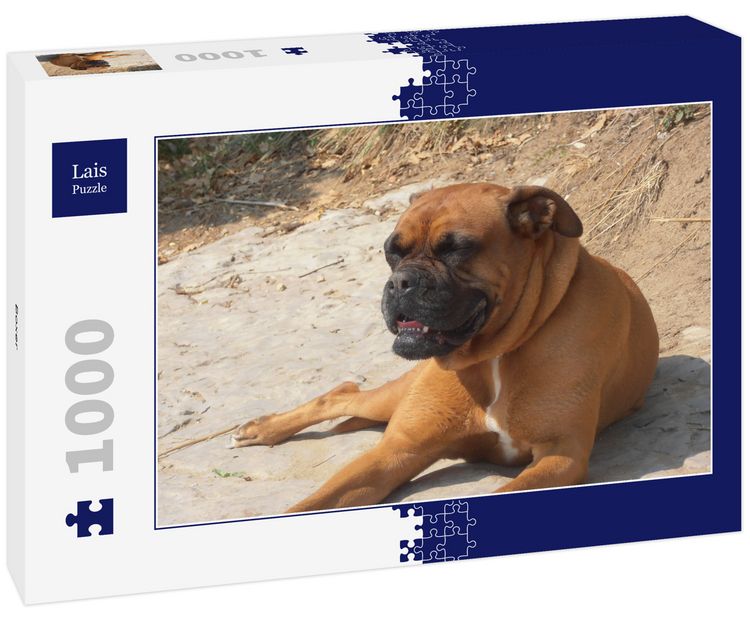 Produktbild: Lais Puzzle Boxer 1000 Teile