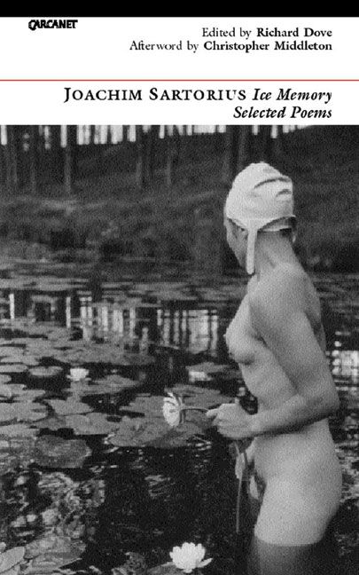 Produktbild: Ice Memory: Selected Poems