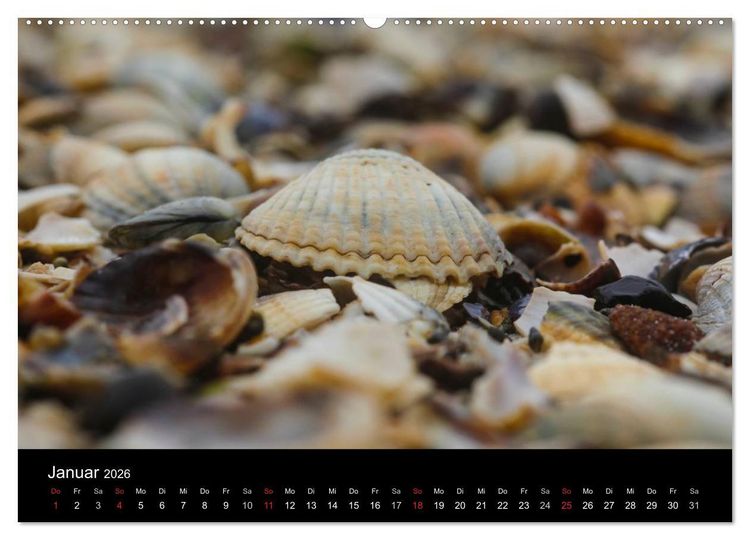 Produktbild: NORDSEE IMPRESSIONEN (Wandkalender 2026 DIN A2 quer), CALVENDO Monatskalender