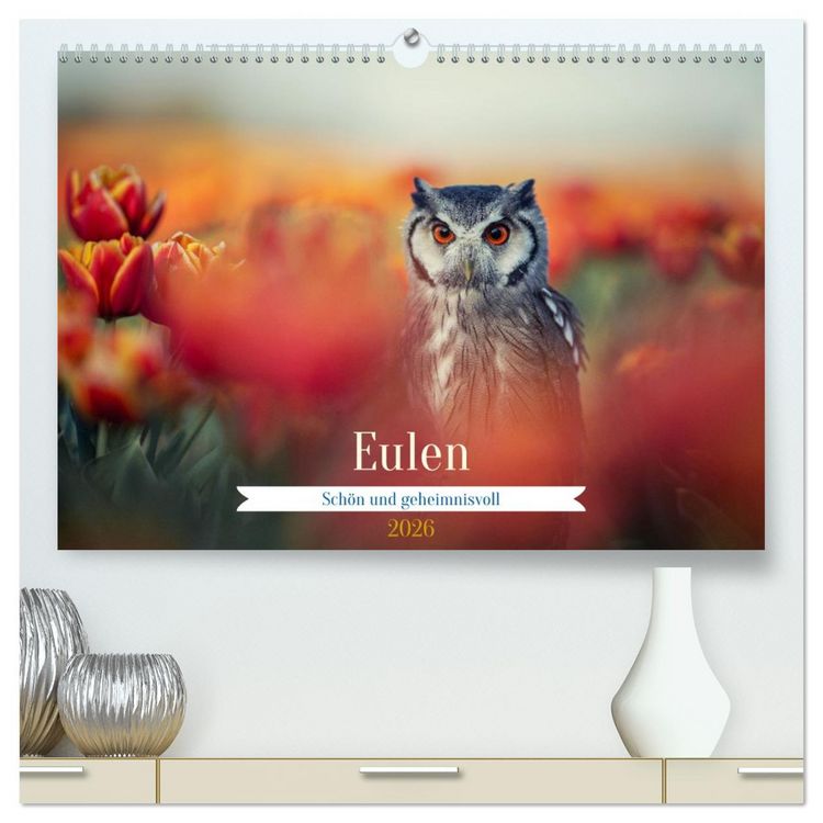 Produktbild: Eulen - sch&ouml;n und geheimnisvoll (hochwertiger Premium Wandkalender 2026 DIN A2 quer), Kunstdruck in Hochglanz