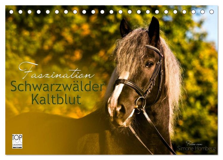 Produktbild: Faszination Schwarzw&auml;lder Kaltblut (Tischkalender 2026 DIN A5 quer), CALVENDO Monatskalender