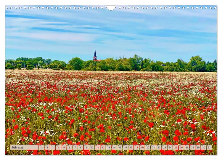 Produktbild: Fischland zwischen Ostsee und Bodden (Wandkalender 2026 DIN A3 quer), CALVENDO Monatskalender