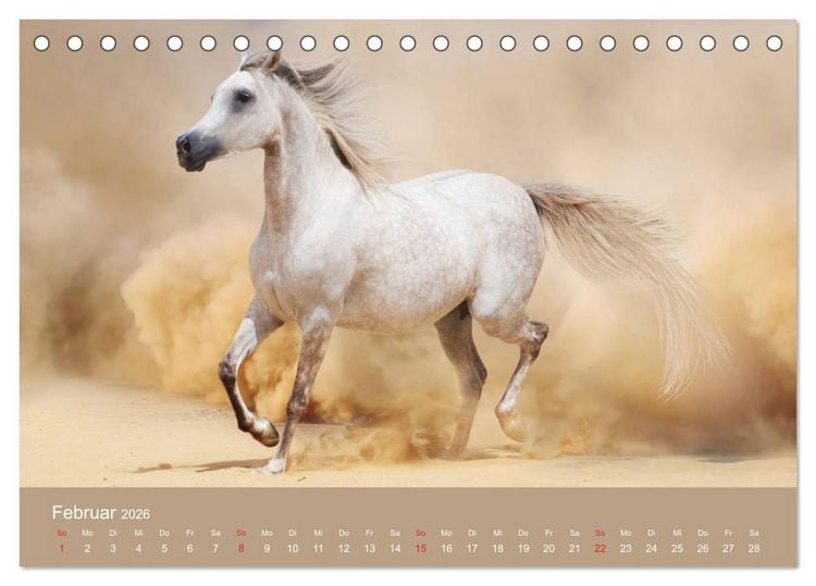 Produktbild: Pferde &bull; Araber im W&uuml;stensand (Tischkalender 2026 DIN A5 quer), CALVENDO Monatskalender
