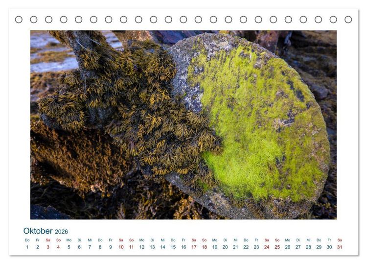 Produktbild: Faszination Schiffsfriedhof (Tischkalender 2026 DIN A5 quer), CALVENDO Monatskalender