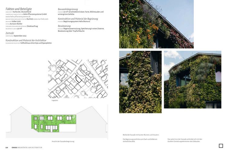Produktbild: CRADLE Buch: Begr&uuml;nte Architektur