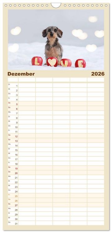 Produktbild: Familienplaner 2026 - Der Dackel mit 5 Spalten (Wandkalender, 21 x 45 cm) CALVENDO