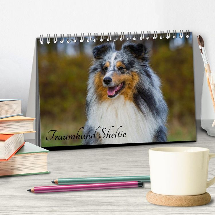 Produktbild: Traumhund Sheltie (Tischkalender 2026 DIN A5 quer), CALVENDO Monatskalender
