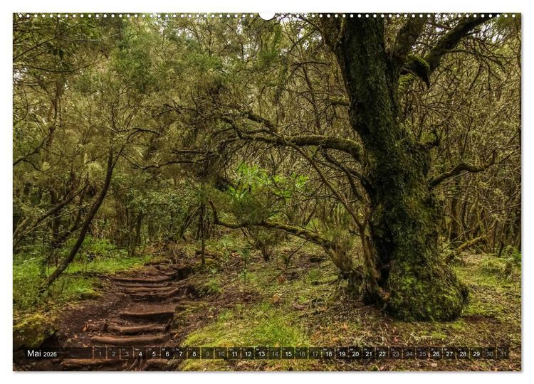 Produktbild: La Gomera 2026 - Eine Entdeckungsreise (hochwertiger Premium Wandkalender 2026 DIN A2 quer), Kunstdruck in Hochglanz