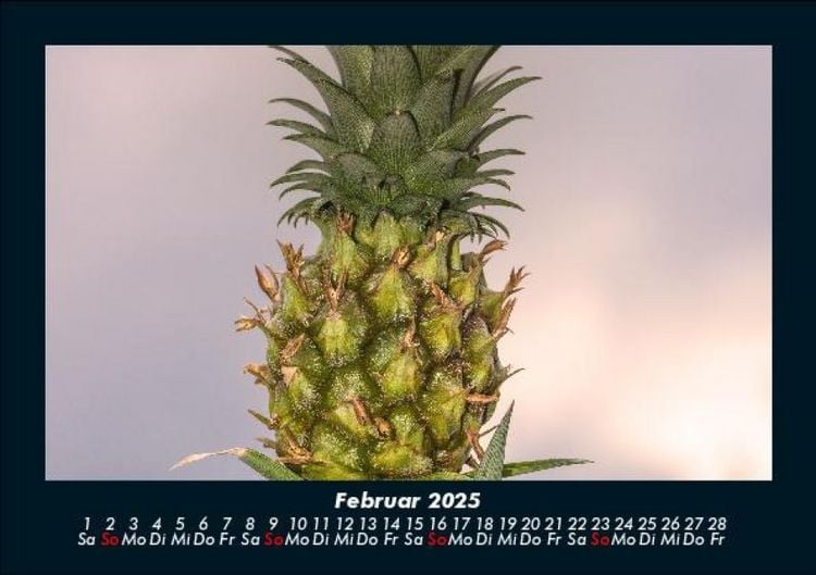 Produktbild: Obstkalender 2025 Fotokalender DIN A5