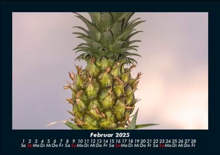 Produktbild: Obstkalender 2025 Fotokalender DIN A5