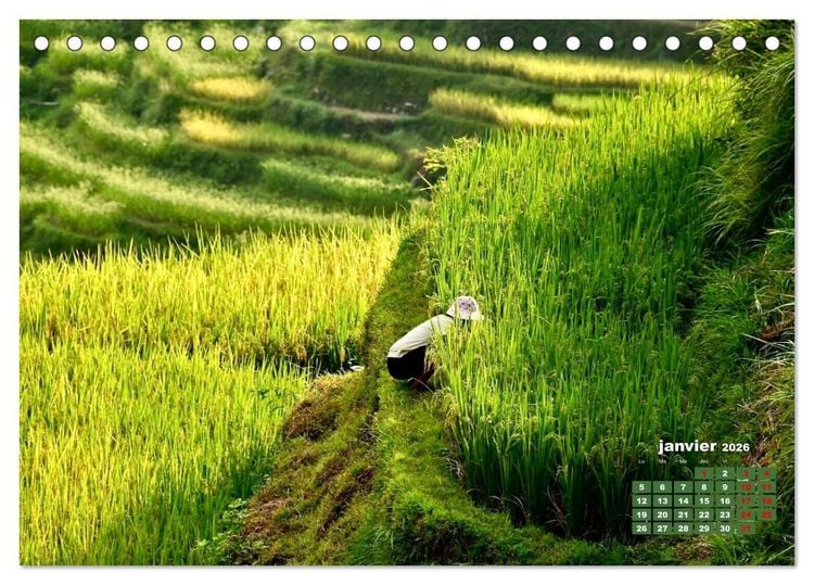 Produktbild: Riz de Chine (Calendrier de bureau 2026 DIN A5 vertical), CALVENDO calendrier mensuel