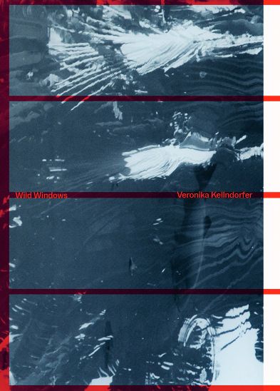 Produktbild: Veronika Kellndorfer: Wild Windows