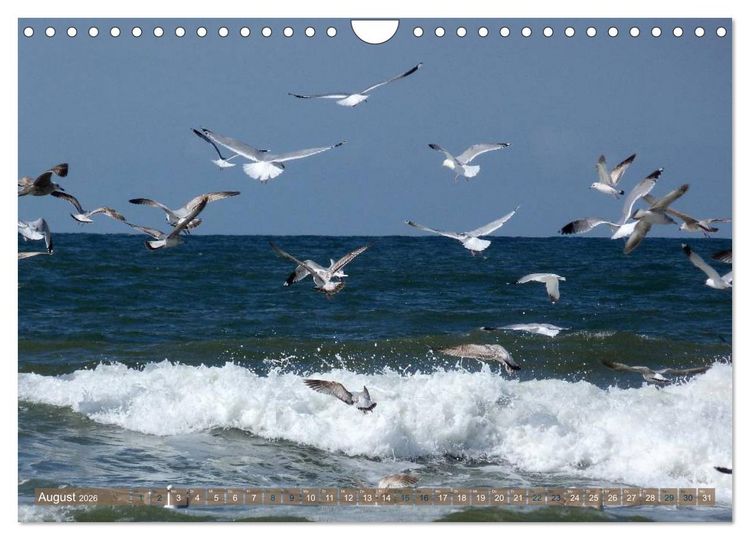 Produktbild: Strandwanderungen auf Texel (Wandkalender 2026 DIN A4 quer), CALVENDO Monatskalender