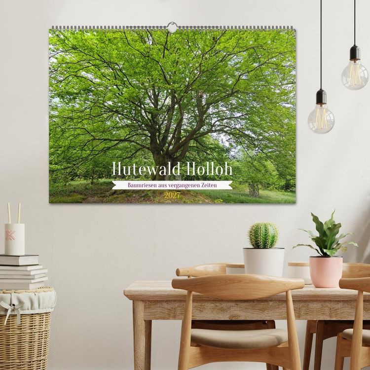 Produktbild: Hutewald Halloh - Baumriesen aus vergangenen Zeiten (Wandkalender 2027 DIN A2 quer), CALVENDO Monatskalender