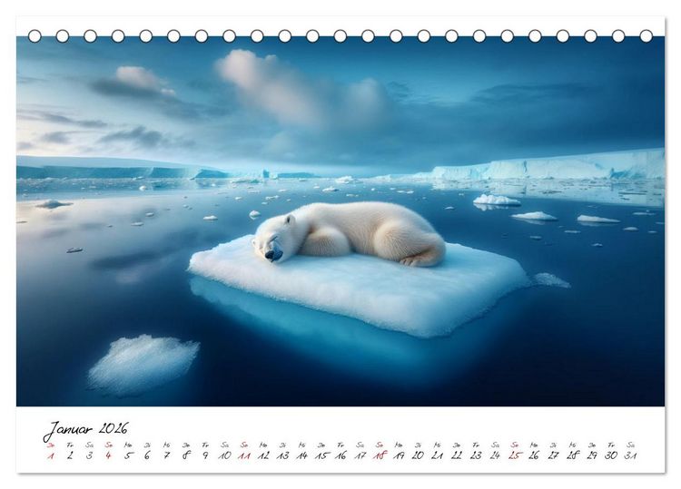 Produktbild: Die besten Naturbilder des Jahres - Einzigartige Augenblicke (Tischkalender 2026 DIN A5 quer), CALVENDO Monatskalender