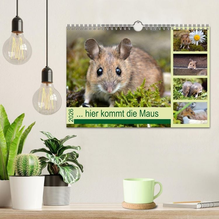 Produktbild: ... hier kommt die Maus ... (Wandkalender 2026 DIN A4 quer), CALVENDO Monatskalender