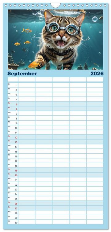 Produktbild: Familienplaner 2026 - Katzen unter Wasser mit 5 Spalten (Wandkalender, 21 x 45 cm) CALVENDO