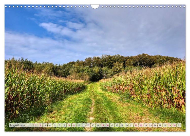 Produktbild: Idyllische Wanderwege im Bergischen Land (Wandkalender 2026 DIN A3 quer), CALVENDO Monatskalender