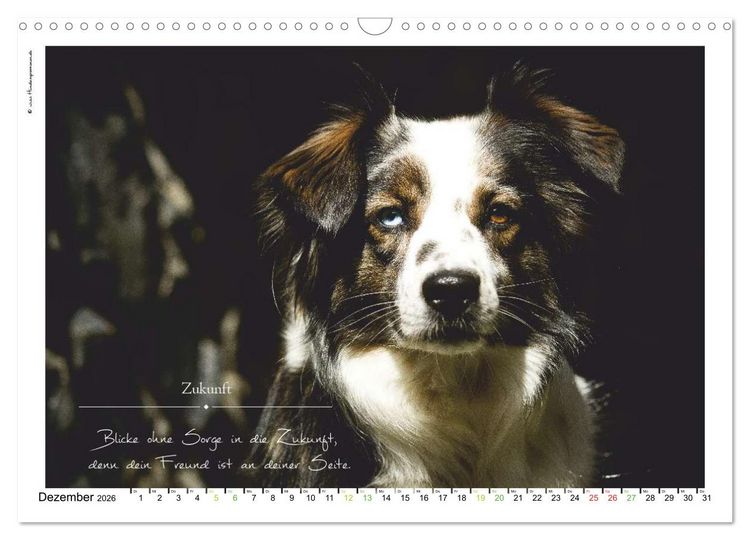 Produktbild: Hunde-Spruchreif (Wandkalender 2026 DIN A3 quer), CALVENDO Monatskalender