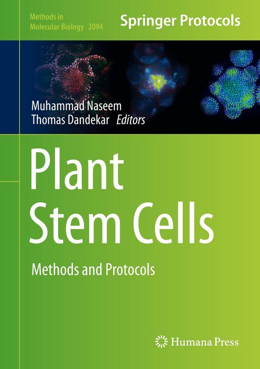 Produktbild: Plant Stem Cells