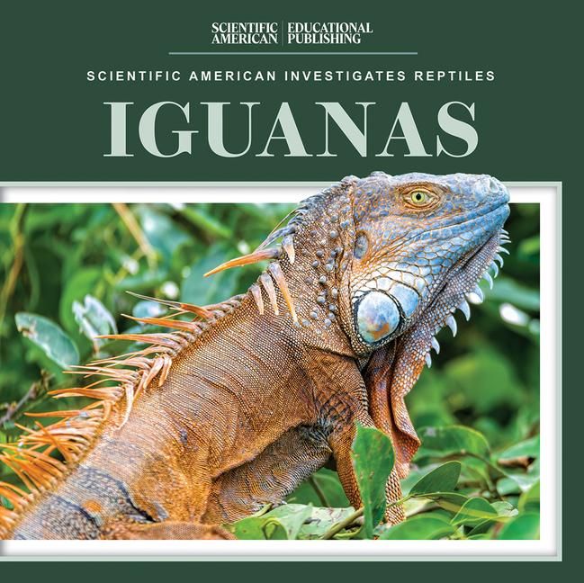 Produktbild: Iguanas