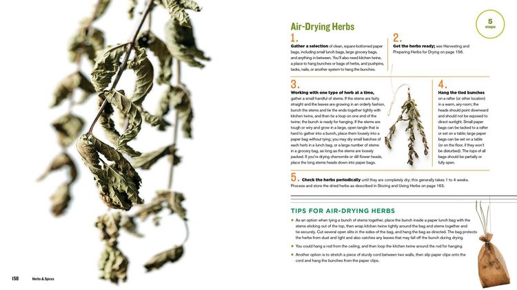 Produktbild: The Beginner's Guide to Dehydrating Food, 2nd Edition