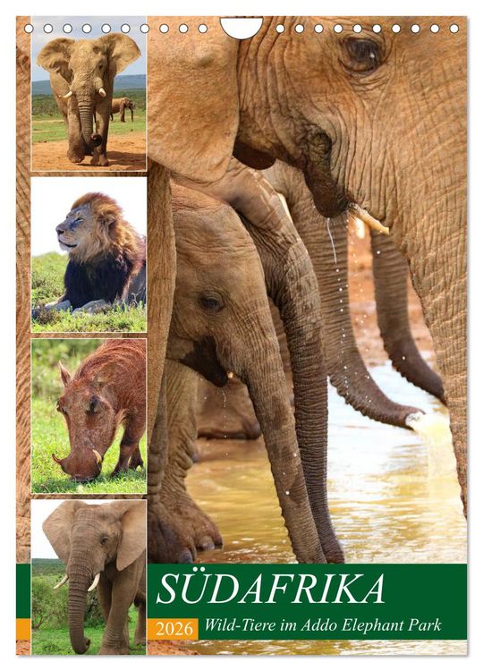 Produktbild: S&Uuml;DAFRIKA Wild-Tiere im Addo Elephant Park (Wandkalender 2026 DIN A4 hoch), CALVENDO Monatskalender
