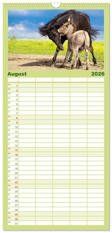 Produktbild: Familienplaner 2026 - Das Esel-Paradies - Hunde und andere Feunde mit 5 Spalten (Wandkalender, 21 x 45 cm) CALVENDO