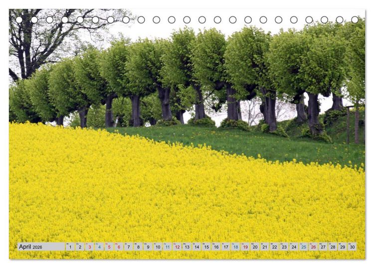 Produktbild: Schloss Bothmer - Kl&uuml;tzer Schlossimpressionen (Tischkalender 2026 DIN A5 quer), CALVENDO Monatskalender