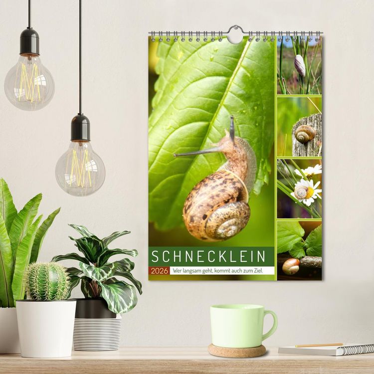Produktbild: Schnecklein (Wandkalender 2026 DIN A4 hoch), CALVENDO Monatskalender